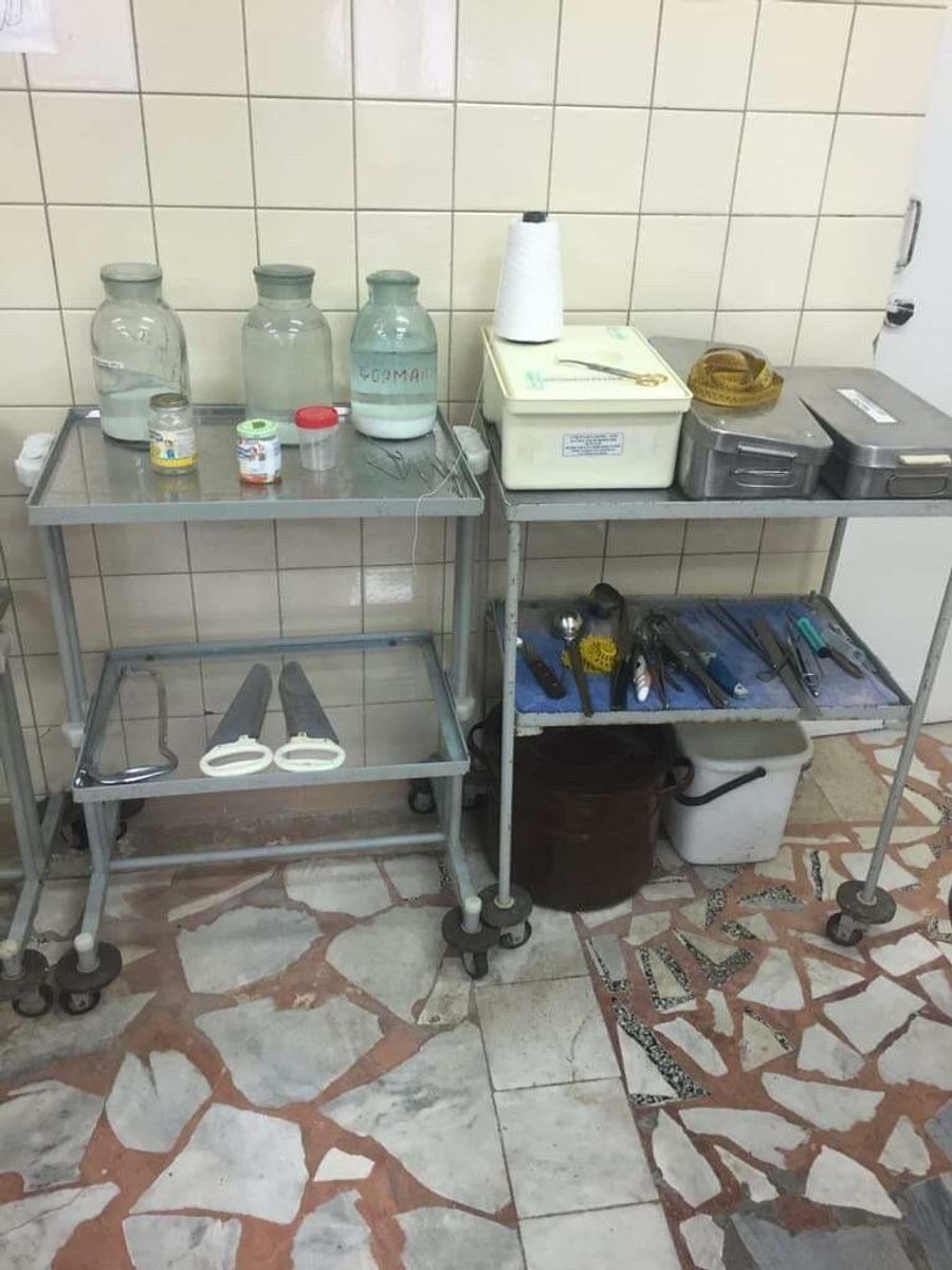 Патологоанатомы Алексей и Наталья Купрюшины Патологоанатомы Алексей и Наталья Купрюшины