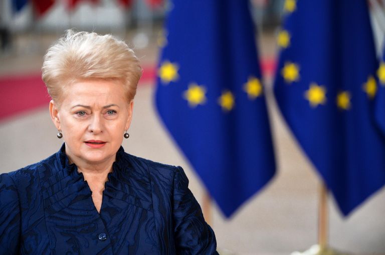 Даля Грибаускайте во время саммита ЕС в Брюсселе Даля Грибаускайте во время саммита ЕС в Брюсселе