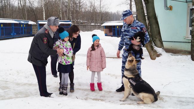 Одиннадцатилетняя Настя из Королёва в Центре кинологической службы Одиннадцатилетняя Настя из Королёва в Центре кинологической службы