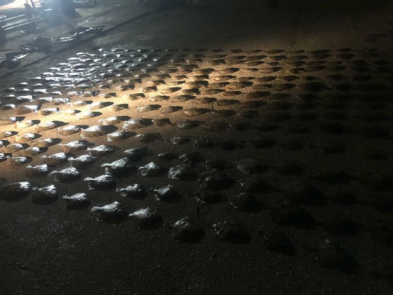 Незаконный вылов камбалы в Азовском море украинским судном 