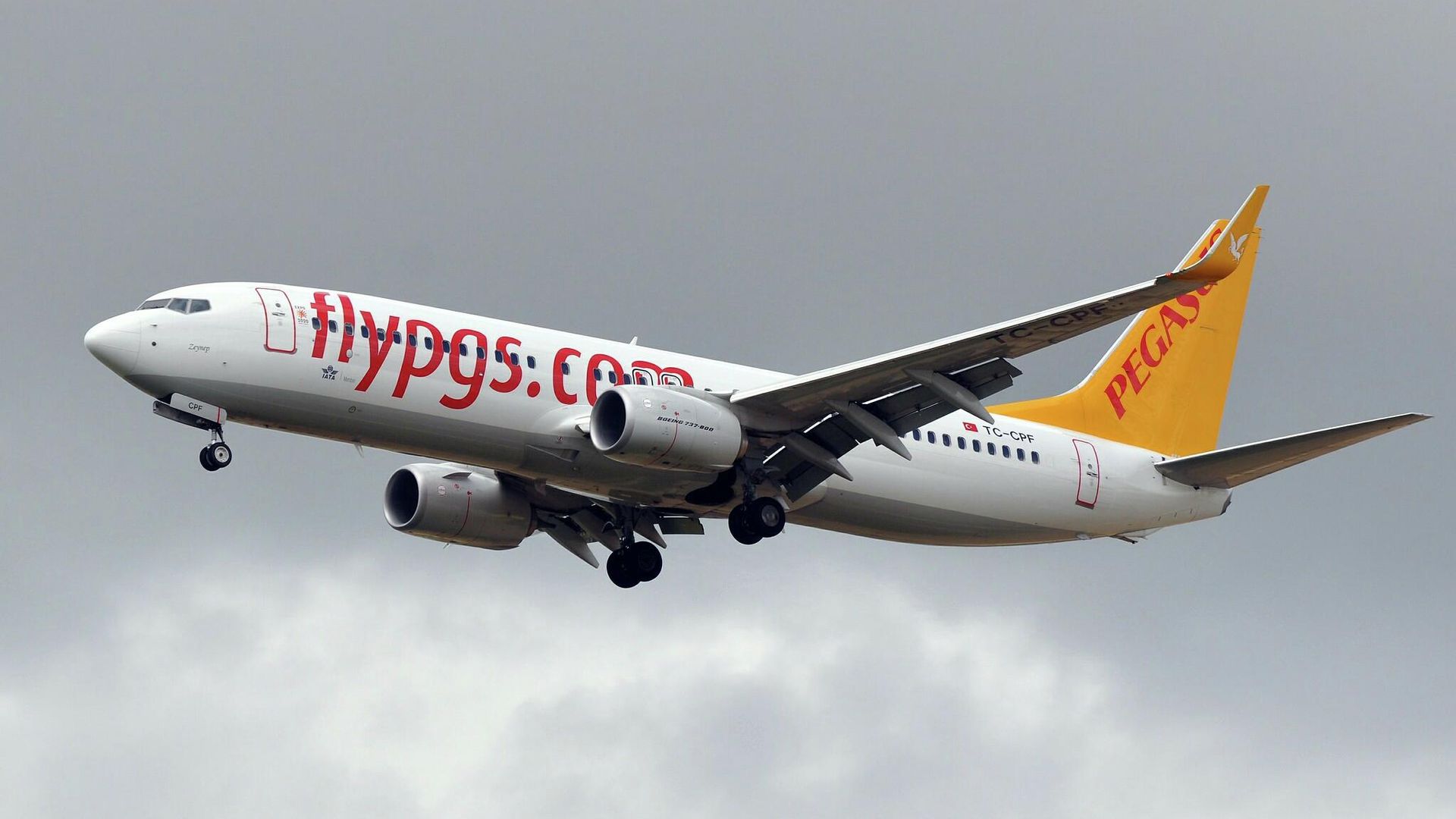 Самолет турецкой авиакомпании Pegasus Airlines  - РИА Новости, 1920, 07.02.2023