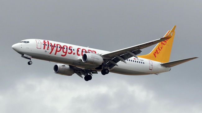 Самолет турецкой авиакомпании Pegasus Airlines Самолет турецкой авиакомпании Pegasus Airlines