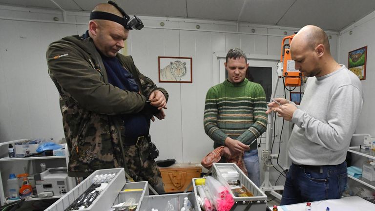 Сотрудники Центра реабилитации и реинтродукции тигров и других животных во Владивостоке Сотрудники Центра реабилитации и реинтродукции тигров и других животных во Владивостоке