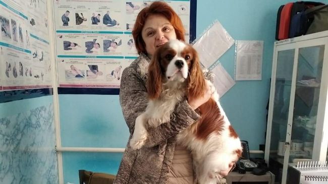 Женщина, провалившаяся с собакой по лед на Москве-реке Женщина, провалившаяся с собакой по лед на Москве-реке