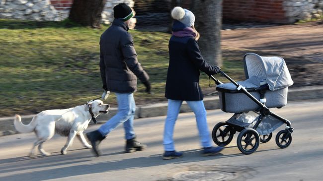 Жители Москвы гуляют по парку Жители Москвы гуляют по парку