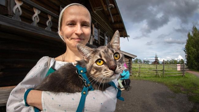 Кошка в музей-заповеднике Кижи Кошка в музей-заповеднике Кижи