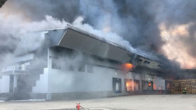 Пожар на овощной базе в Подмосковье Пожар на овощной базе в Подмосковье