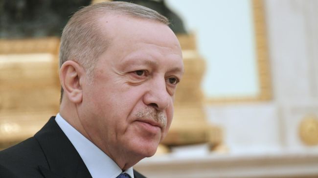 Президент Турции Реджеп Тайип Эрдоган во время встречи с президентом РФ Владимиром Путиным