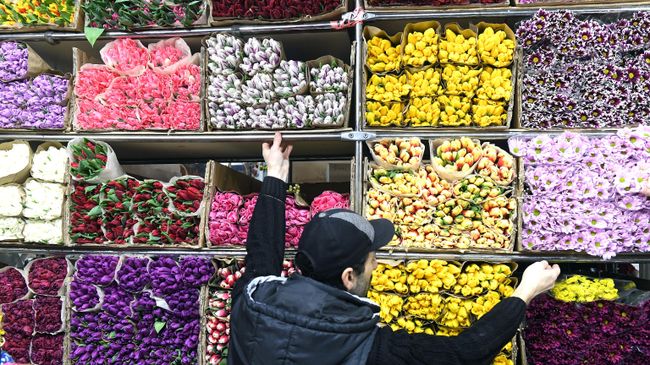 Продажа цветов на Рижском рынке в Москве