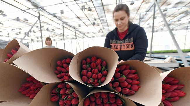 Продажа цветов