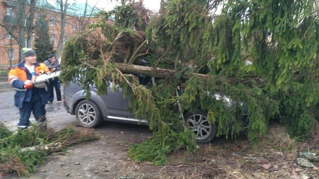 Последствия сильного ветра в Москве Последствия сильного ветра в Москве