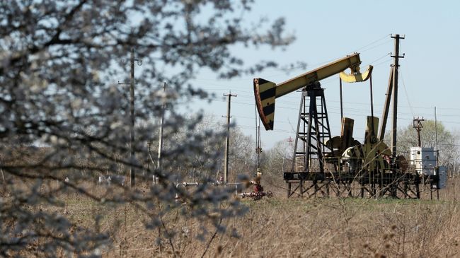 Нефтяной станок-качалка на Абино-Украинском нефтегазовом месторождении в Краснодарском крае Нефтяной станок-качалка на Абино-Украинском нефтегазовом месторождении в Краснодарском крае