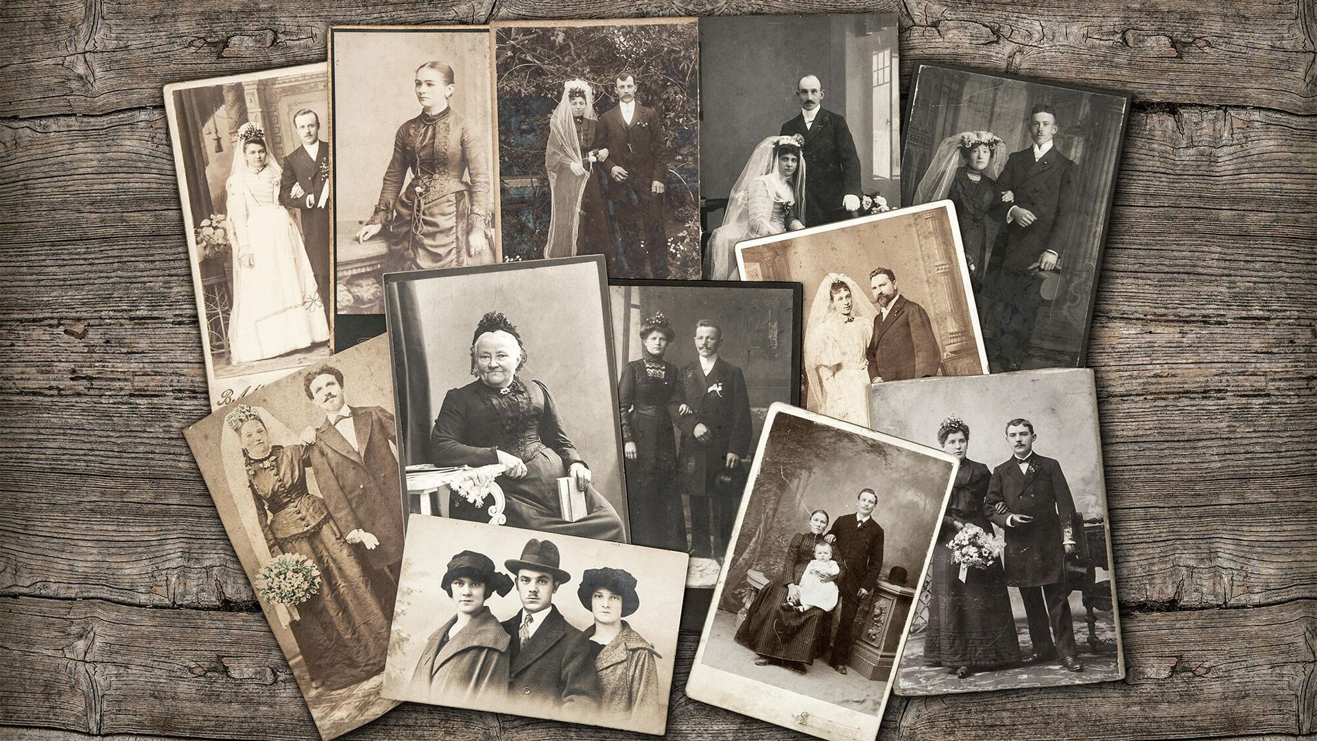 Генеалогическое древо семьи Генеалогическое древо семьи - РИА Новости, 1920, 30.11.2021