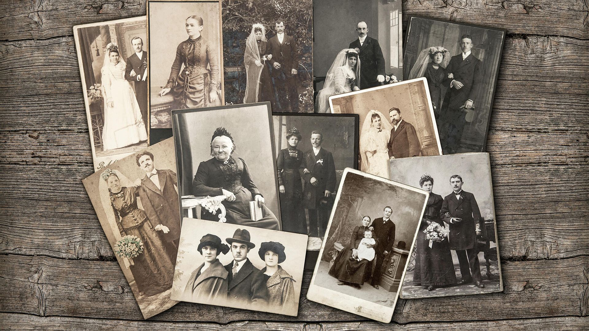 Генеалогическое древо семьи Генеалогическое древо семьи - РИА Новости, 1920, 30.11.2021