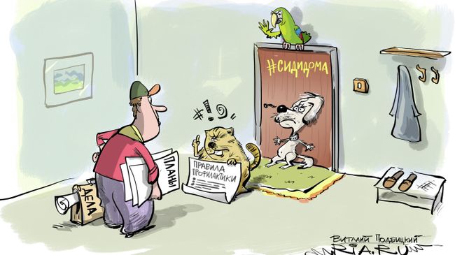 Сиди дома