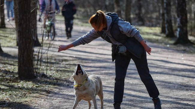 Жители города отдыхают в парке Сосновка, не входящего в список закрытых для посещений Жители города отдыхают в парке Сосновка, не входящего в список закрытых для посещений