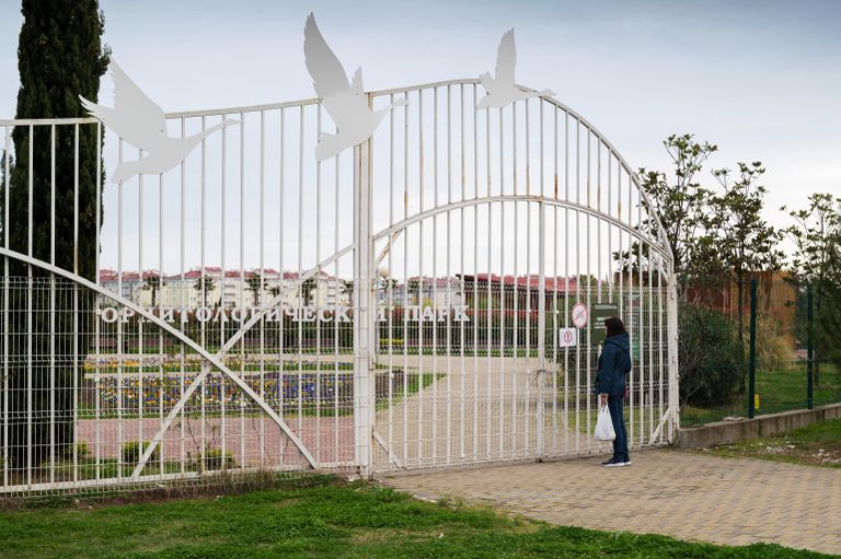 Женщина читает объявление о закрытие орнитологического парка в Сочи Женщина читает объявление о закрытие орнитологического парка в Сочи