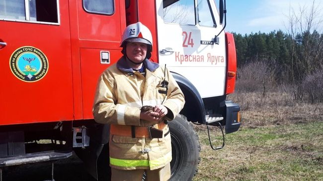 Пожарные спасли зайчонка из пожара в Белгородской области Пожарные спасли зайчонка из пожара в Белгородской области