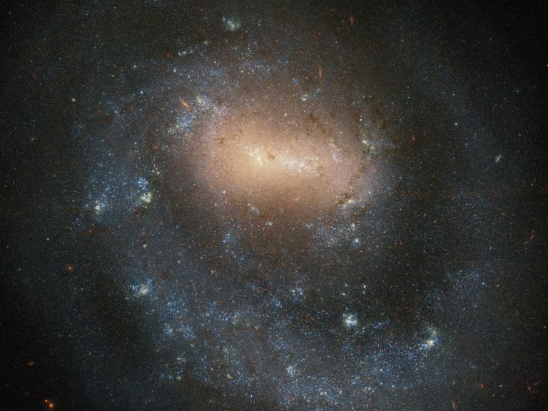 Галактика NGC 4618  в созвездии Гончие Псы 