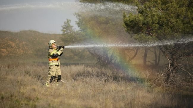 Сотрудник пожарной службы Сотрудник пожарной службы