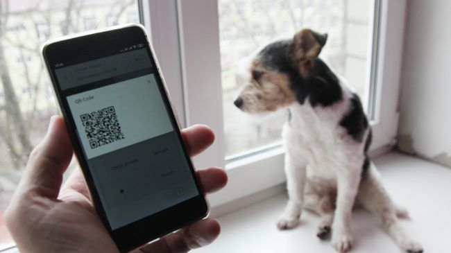 Смартфон жителя Нижегородской области с QR-кодом для предъявления сотруднику полиции при проверке режима самоизоляции Смартфон жителя Нижегородской области с QR-кодом для предъявления сотруднику полиции при проверке режима самоизоляции