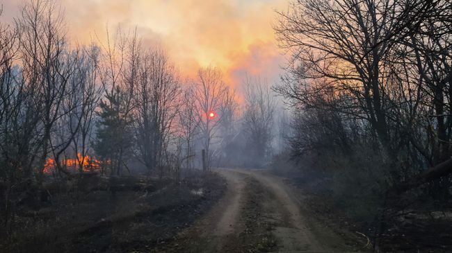 Пожар в Чернобыльской зоне отчуждения Пожар в Чернобыльской зоне отчуждения