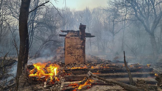 Пожар в Чернобыльской зоне отчуждения Пожар в Чернобыльской зоне отчуждения
