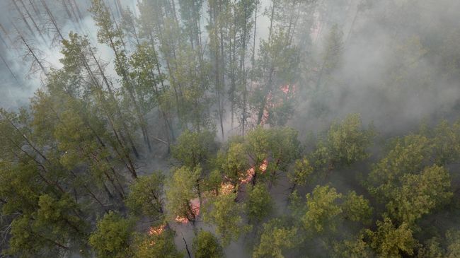 Пожар в Чернобыльской зоне отчуждения