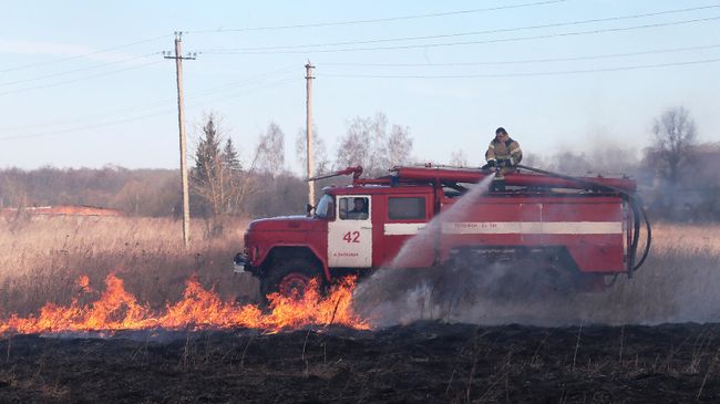 Сотрудник пожарной службы тушит полевой пожар Сотрудник пожарной службы тушит полевой пожар