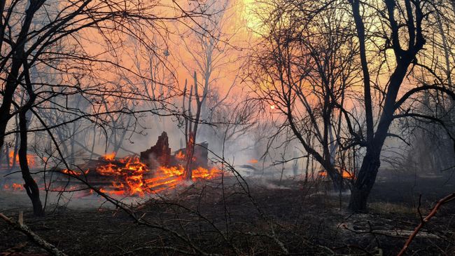 Пожар в Чернобыльской зоне отчуждения