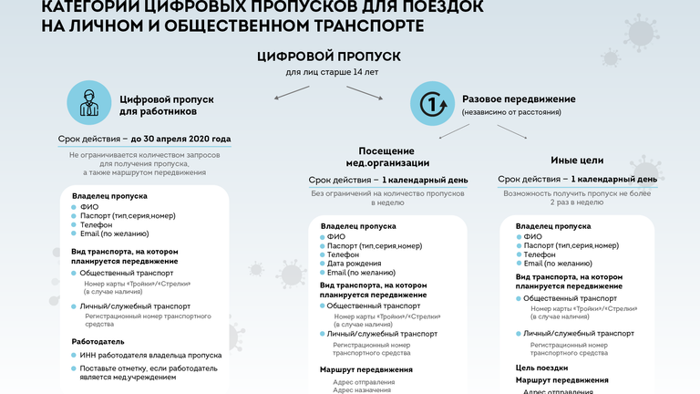 Категории цифровых пропусков для поездок на транспорте в Москве Категории цифровых пропусков для поездок на транспорте в Москве