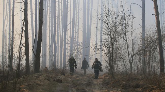 Сотрудники пожарной охраны во время тушения пожара в зоне отчуждения Чернобыльской АЭС Сотрудники пожарной охраны во время тушения пожара в зоне отчуждения Чернобыльской АЭС