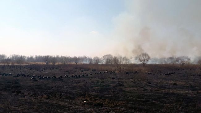 Пожар на месте крушения легкомоторного самолета в Хабаровском районе Пожар на месте крушения легкомоторного самолета в Хабаровском районе