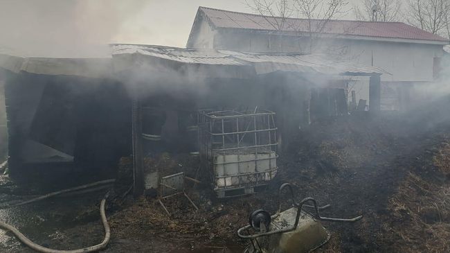 Последствия пожара в деревянной конюшне в Екатеринбурге Последствия пожара в деревянной конюшне в Екатеринбурге