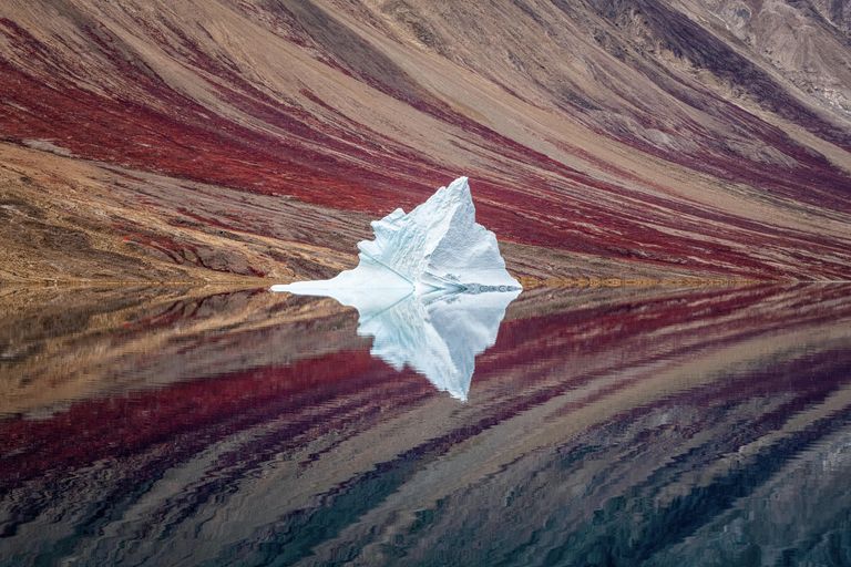 Craig McGowan. Работа победителя конкурса Open competition в рамках Sony World Photography Awards 2020 Craig McGowan. Работа победителя конкурса Open competition в рамках Sony World Photography Awards 2020