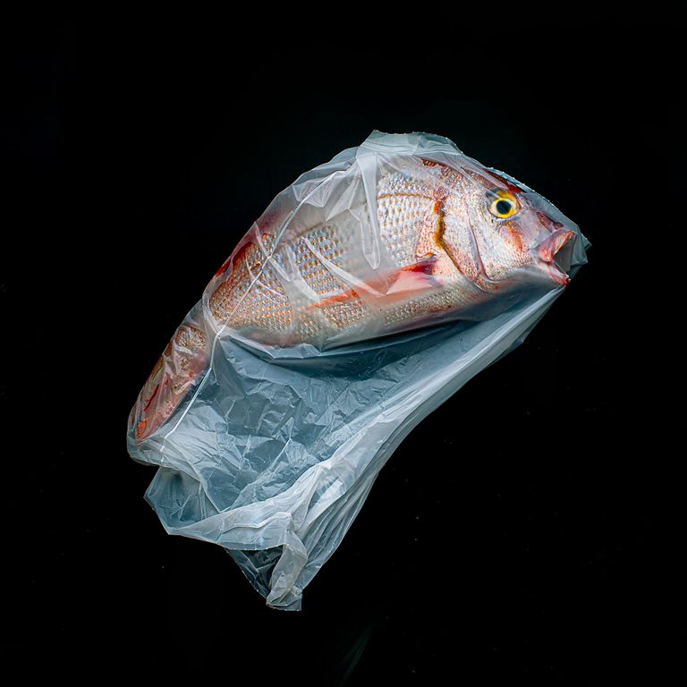 Jorge Reynal. Работа победителя конкурса Open competition в рамках Sony World Photography Awards 2020 Jorge Reynal. Работа победителя конкурса Open competition в рамках Sony World Photography Awards 2020