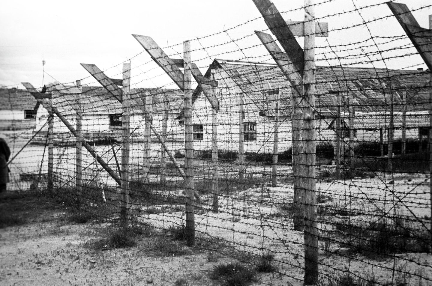 Финский концентрационный лагерь в городе Медвежьегорске