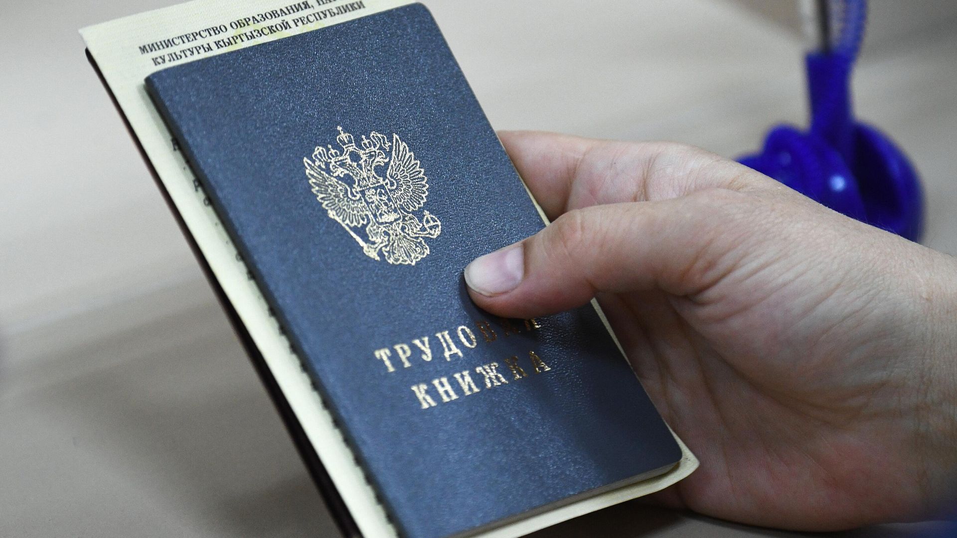 Сотрудница Центра занятости населения Ленинского района в Новосибирске держит в руках документы посетителя Сотрудница Центра занятости населения Ленинского района в Новосибирске держит в руках документы посетителя - РИА Новости, 1920, 29.05.2020