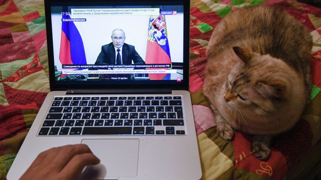 Трансляция совещания президента РФ Владимира Путина с главами регионов по борьбе с распространением коронавируса в России на экране ноутбука Трансляция совещания президента РФ Владимира Путина с главами регионов по борьбе с распространением коронавируса в России на экране ноутбука