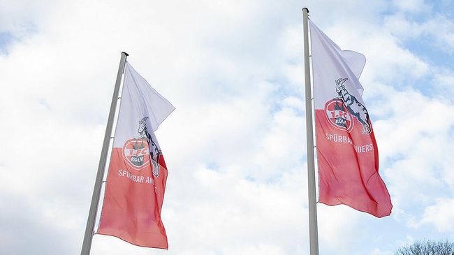 Флаги с логотипом немецкого футбольного клуба Кельн Флаги с логотипом немецкого футбольного клуба Кельн
