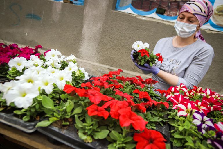 Продажа цветов на ярмарке выходного дня Покупай ставропольское в Кисловодске Продажа цветов на ярмарке выходного дня Покупай ставропольское в Кисловодске