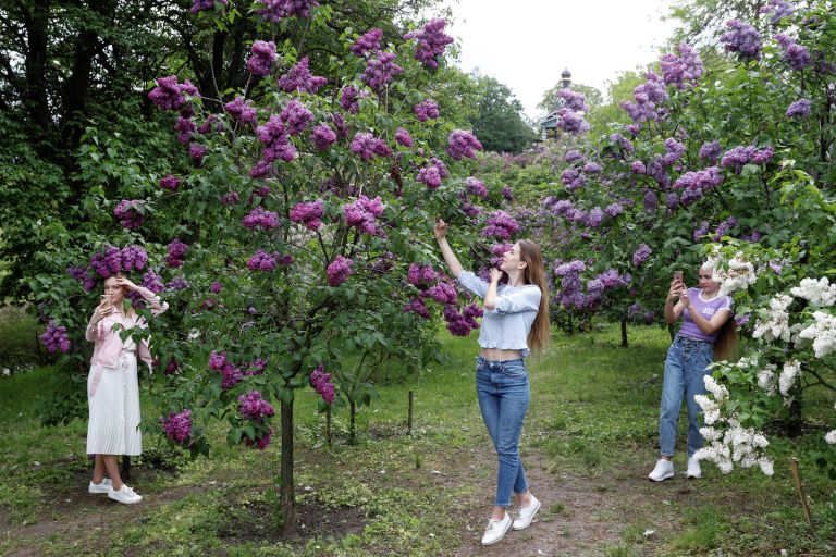 Девушки фотографируются с цветущей сиренью в Ботанический саду в Киеве, Украина