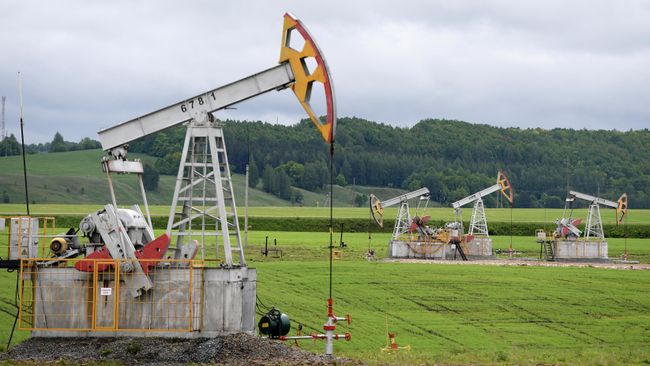 Нефтяные станки-качалки компании Татнефть Нефтяные станки-качалки компании Татнефть