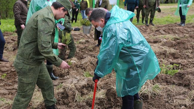 Участники акции Сады памяти сажают деревья вблизи памятника Героям-панфиловцам в Подмосковье Участники акции Сады памяти сажают деревья вблизи памятника Героям-панфиловцам в Подмосковье