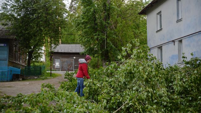 Последствия непогоды Последствия непогоды