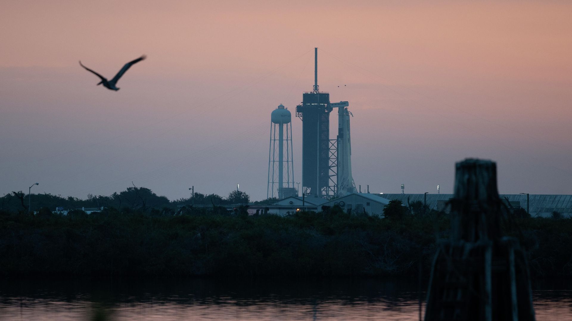 Американский космический корабль Crew Dragon, установленный на стартовой площадке Launch Complex 39A на острове Уилсон во Флориде Американский космический корабль Crew Dragon, установленный на стартовой площадке Launch Complex 39A на острове Уилсон во Флориде - РИА Новости, 1920, 02.08.2024