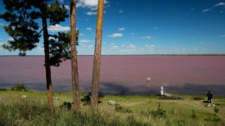 Отдыхающие на горько-соленом Малиновом озере в Михайловском районе Алтайского края Отдыхающие на горько-соленом Малиновом озере в Михайловском районе Алтайского края