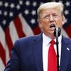 Президент США Дональд Трамп во время брифинга в розовом саду возле Белого дома Президент США Дональд Трамп во время брифинга в розовом саду возле Белого дома