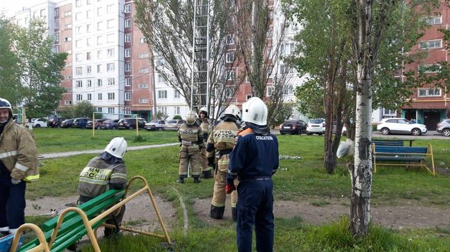 Сотрудники МЧС Казани уговаривают мужчину слезть с дерева Сотрудники МЧС Казани уговаривают мужчину слезть с дерева