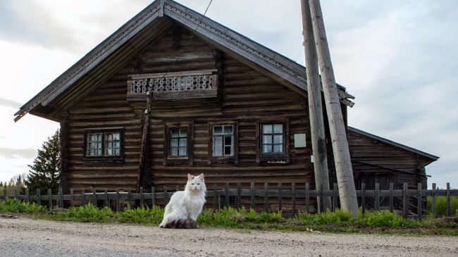 Деревянный дом в деревне